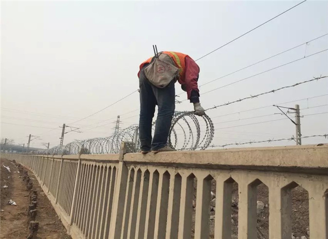 刺丝滚笼