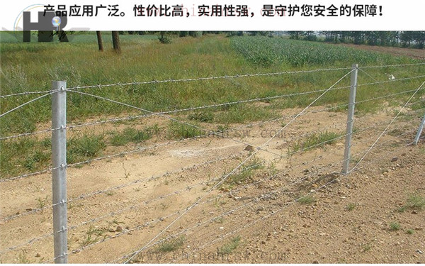 镀锌刺绳安装效果图