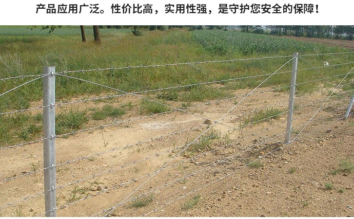 刺铁丝线
