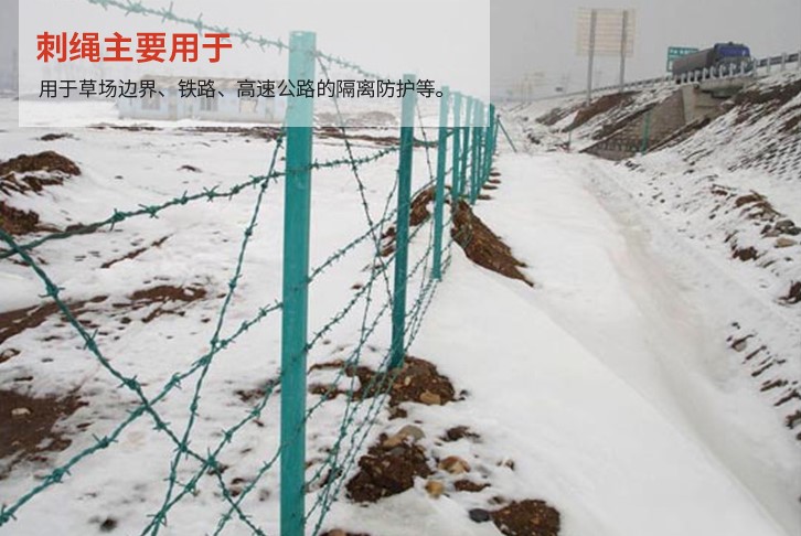 刺绳护栏网