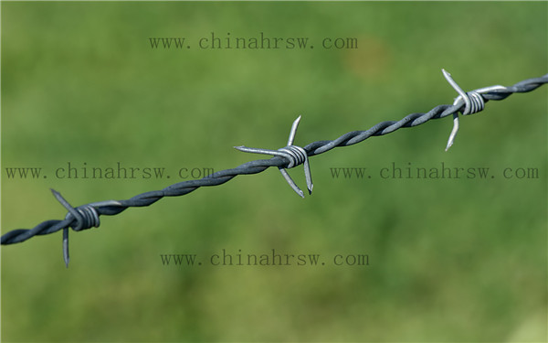 刺绳防护网