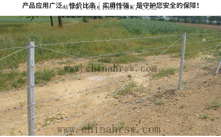 刺绳护栏网