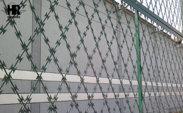 刺绳防护网