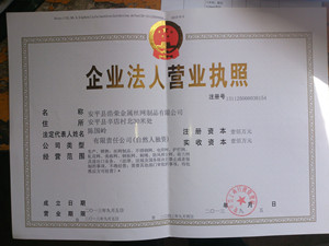 法人营业执照