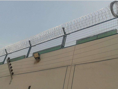 刺绳防护网